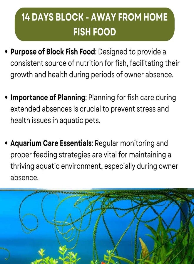 TUNAI SF+ Star 14 Days Extended Holiday Fish Food, (Pack of 2) | Adequate Nourishment for Your Aquarium Fish - Image 2